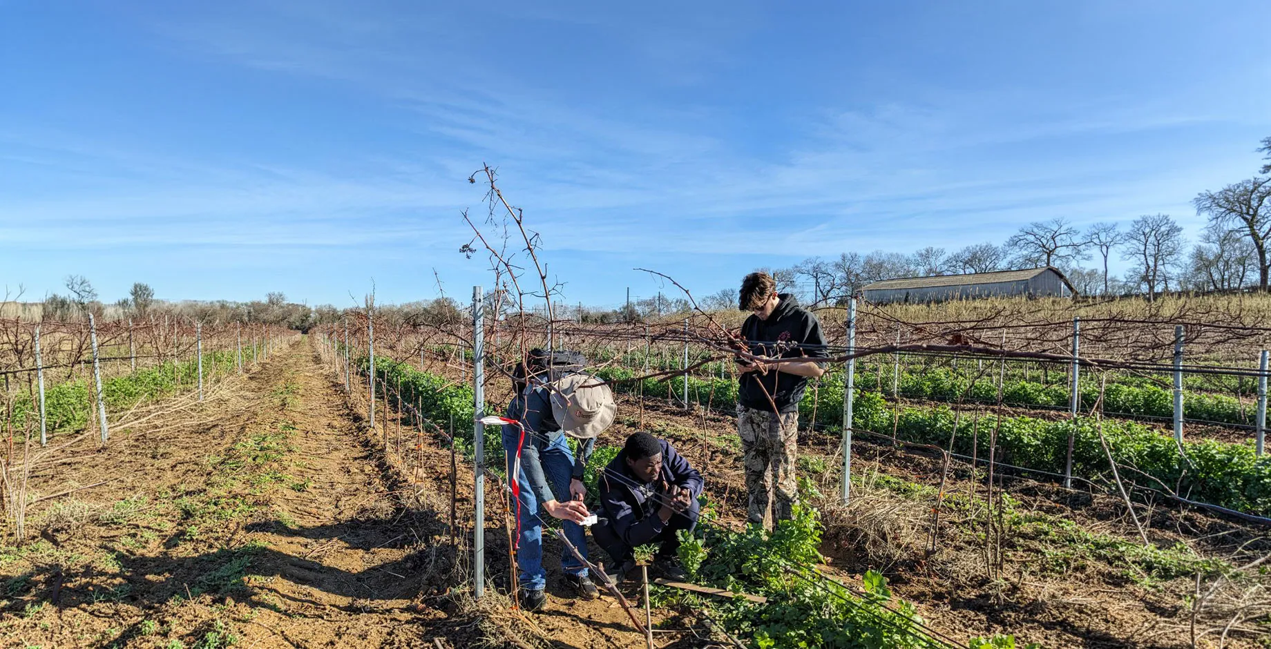 Projet Agritech EU - Formations sur le terrain
