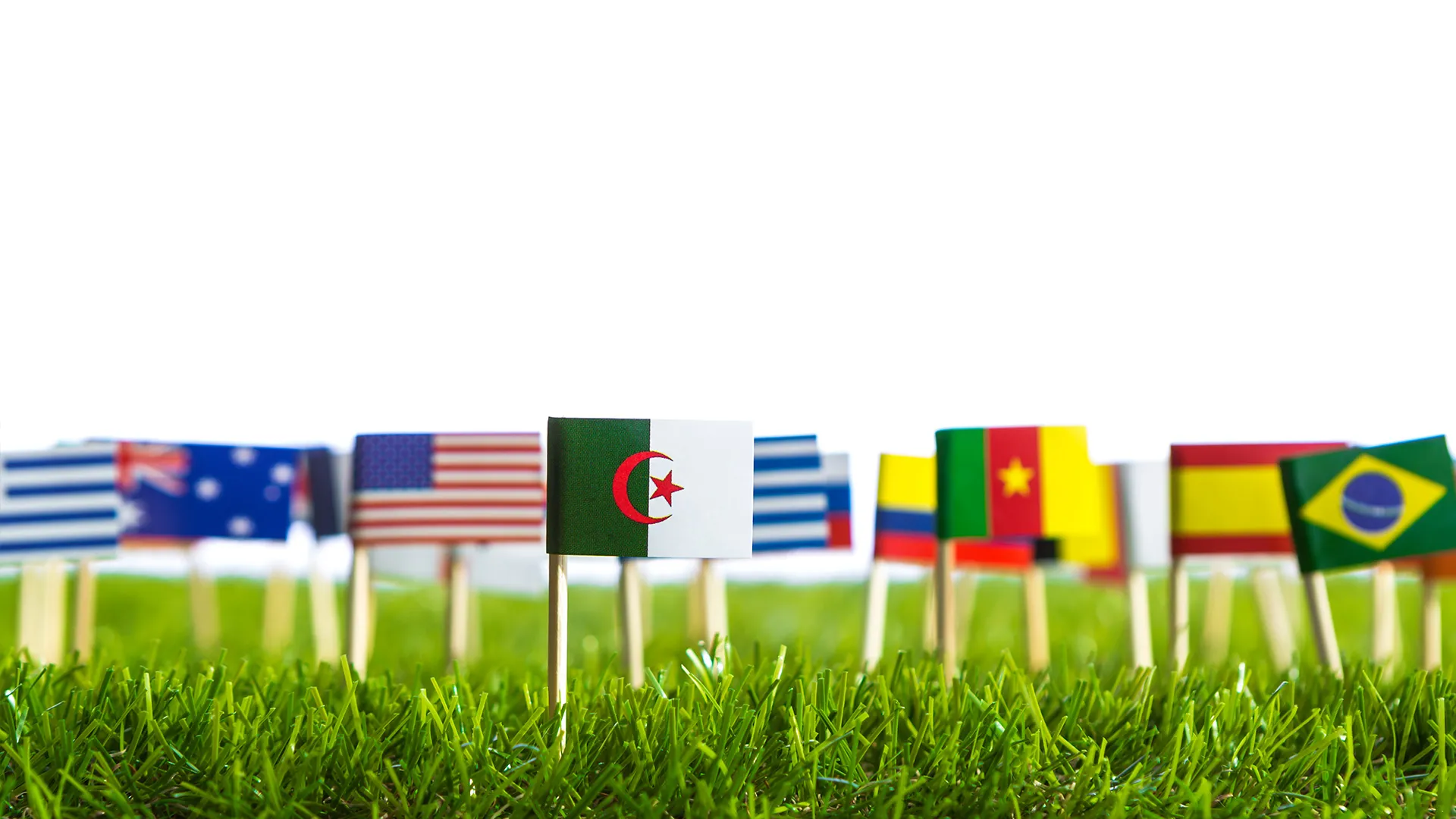 Bourse internationale - Chercheur, PhD, PostDoc