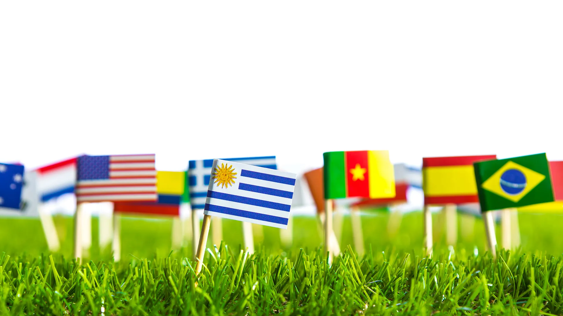 Bourses internationales, Master et Ingénieur