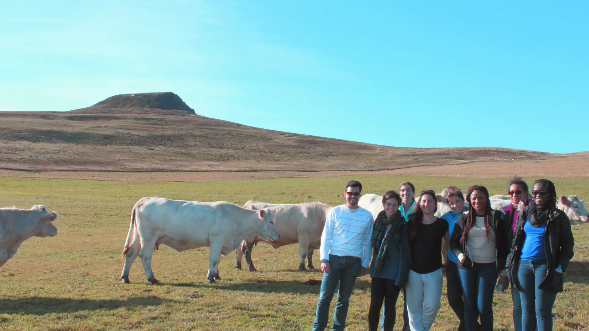 Département Milieux, productions, ressources et systèmes
