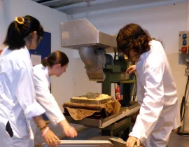 Option d'ingénieur : Agroalimentaire et Agro-Industrie de Montpellier