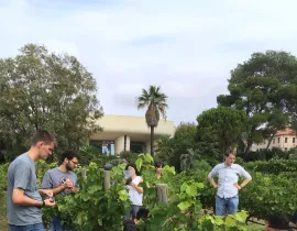 Pôle Vigne et Vin - L'Institut Agro Montpellier