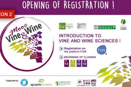 MOOC Wine & Vine - season 2