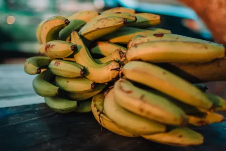 Projet FABA - Banane plantain