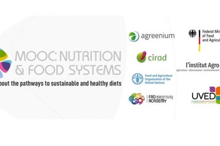 Massive open online course on Nutrition and Food Systems