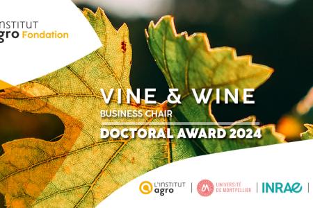 Doctoral Award - Wine and Vine Business Chair