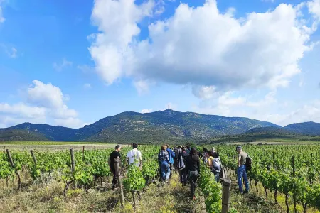  Chaire AGROSYS - (c)  Samuel PEYRE - Domaine d'Arboras - AdVini