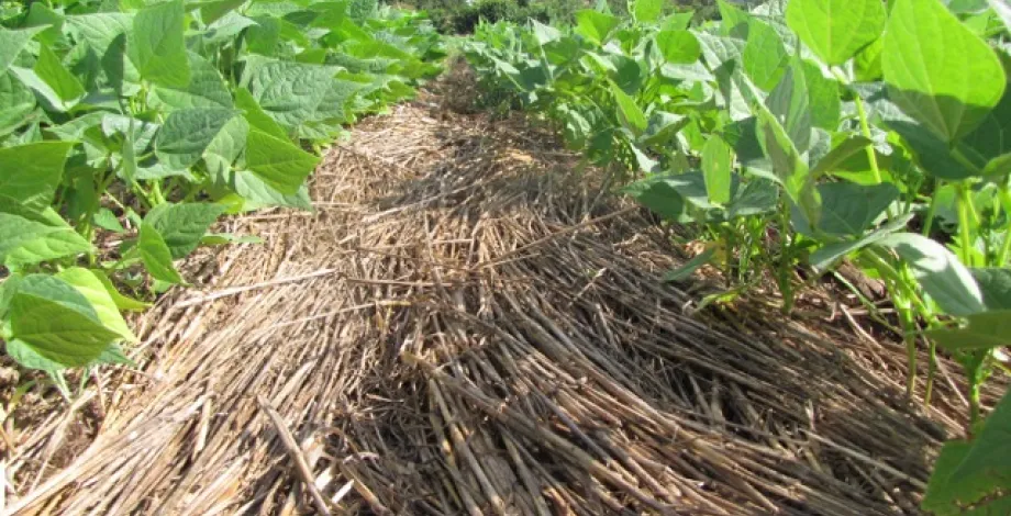 Agro-écologie