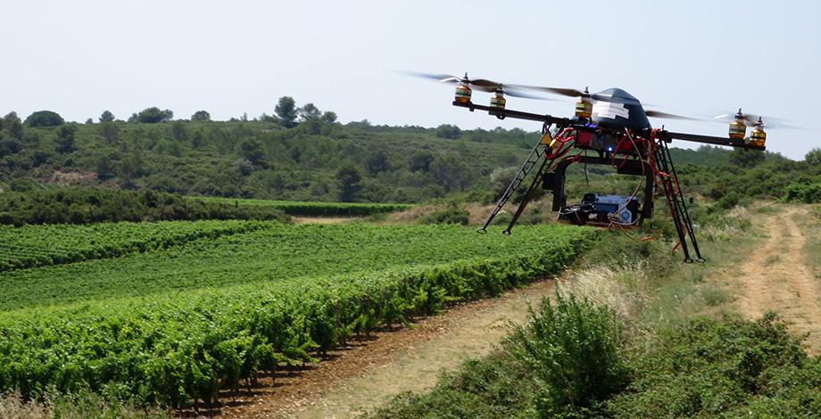 Rotary wing drone for 3D images of vines
