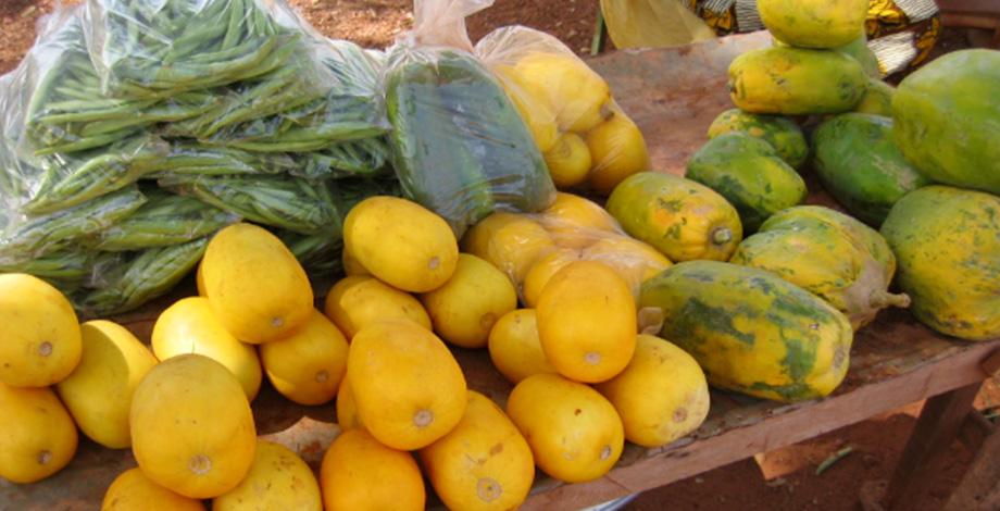 Improving marketing of products from family farms, Burkina Faso 
