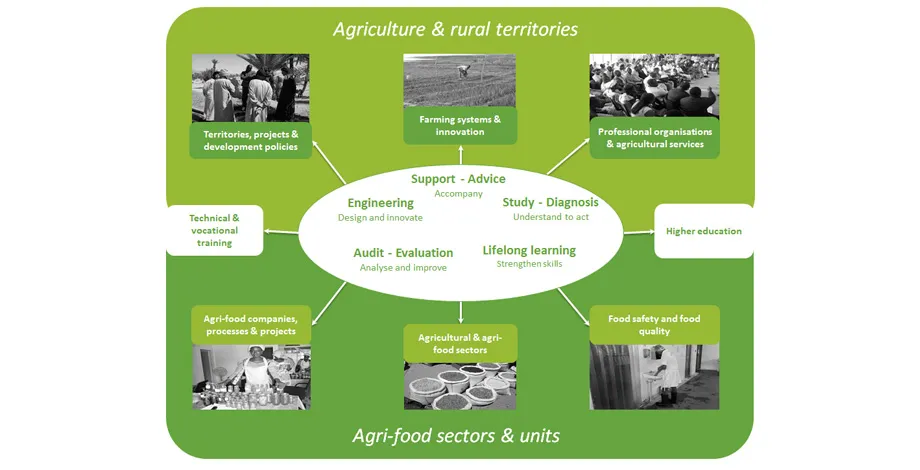 DEFIS—Fields of activity and services offered