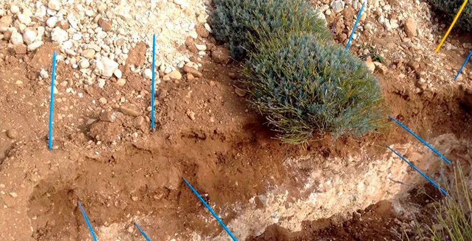 Soil studies