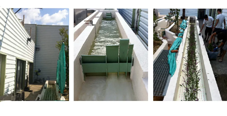 Study of the influence of a non-flooded canal floor with vegetation present on flows 