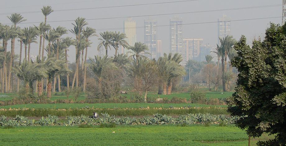 Rethinking agricultural systems in food systems, urban agriculture in Cairo (Egypt)