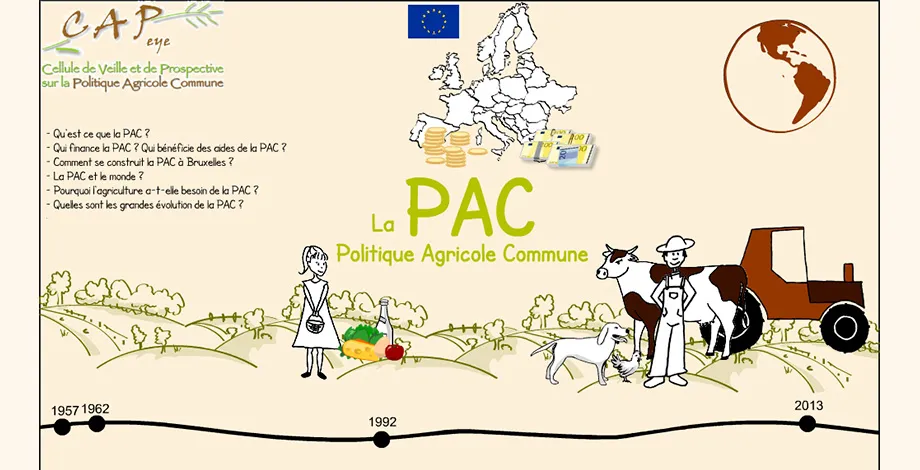 Example of online animation on the CAPeye website