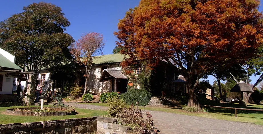 Community market garden (South Africa)