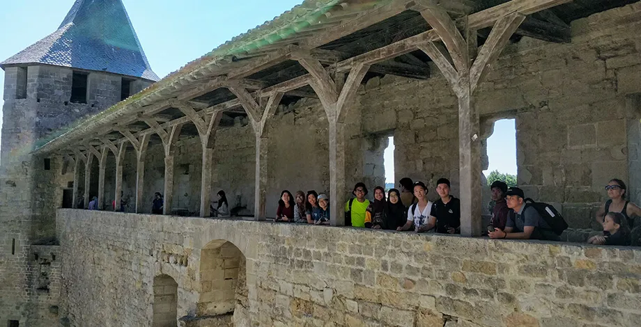 The Cité of Carcassonne and its medieval castle