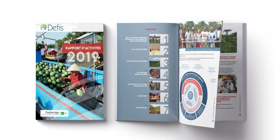 DEFIS - Rapport d'activité 2019
