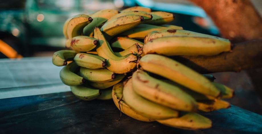 Projet FABA - Banane plantain