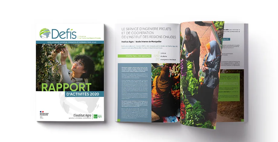 DEFIS - Rapport d'activité 2020