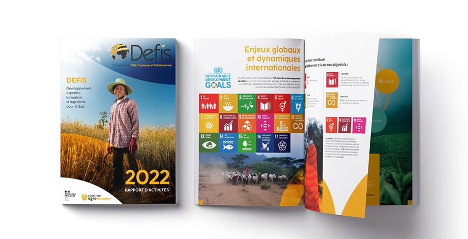 DEFIS - Annual Report 2022